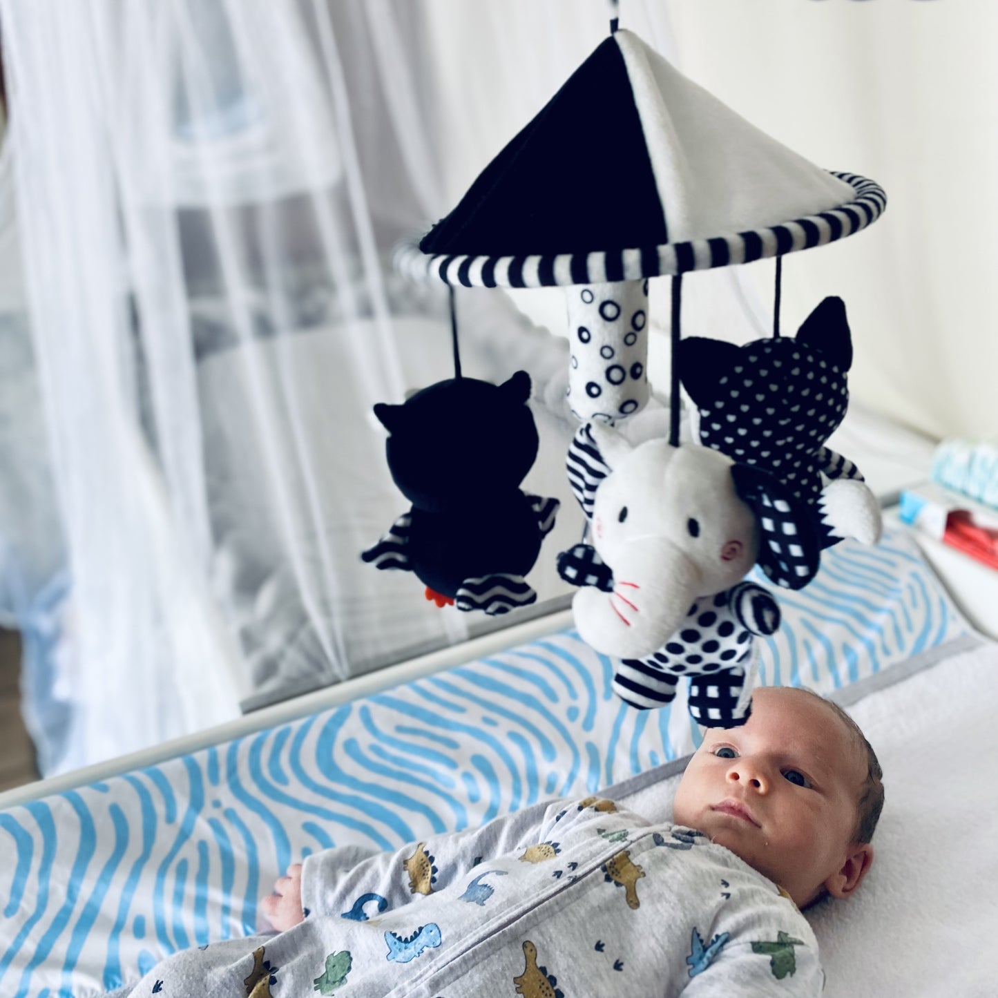 High Contrast Mobile