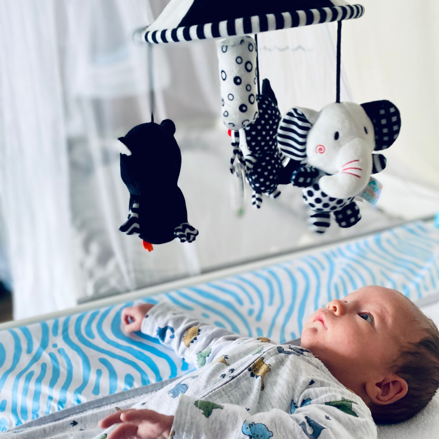 High Contrast Mobile