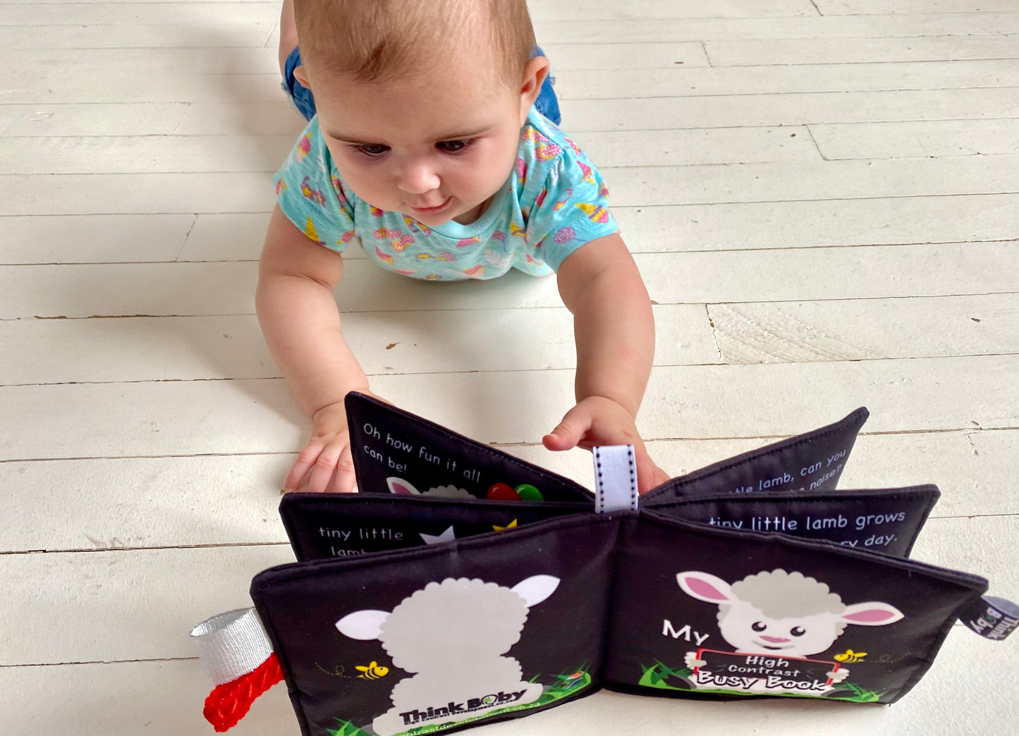 High Contrast Busy Book