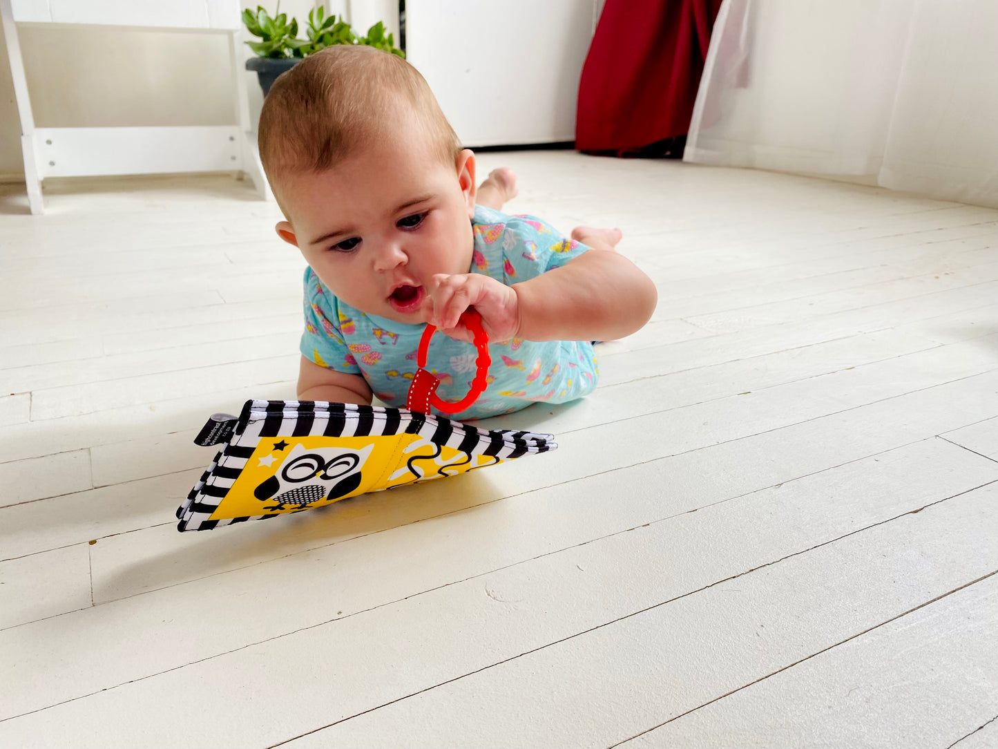 High Contrast Mini-Soft Book